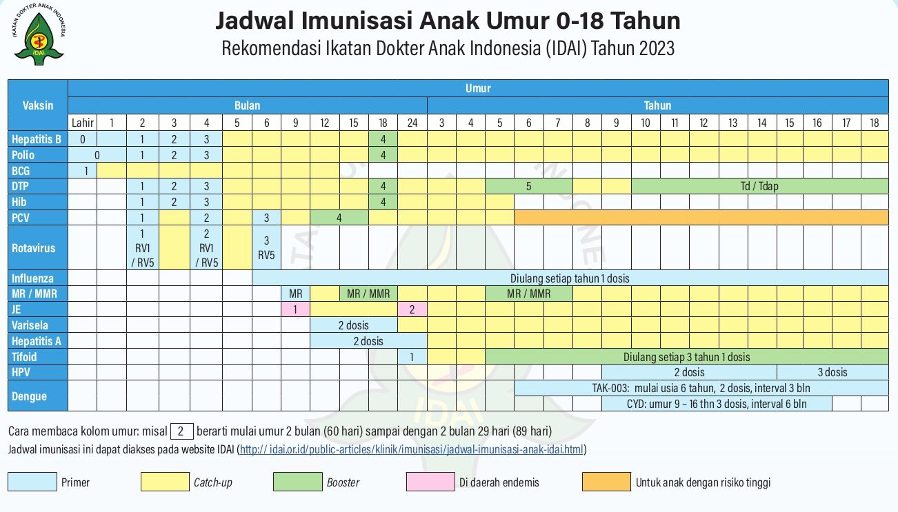 Jadwal Imunisasi IDAI untuk Bayi dan Anak